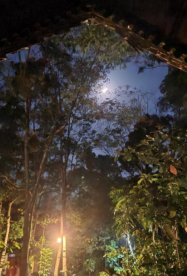 Etalauser Jungle Gate Ecoresort Bukit Lawang Exterior foto