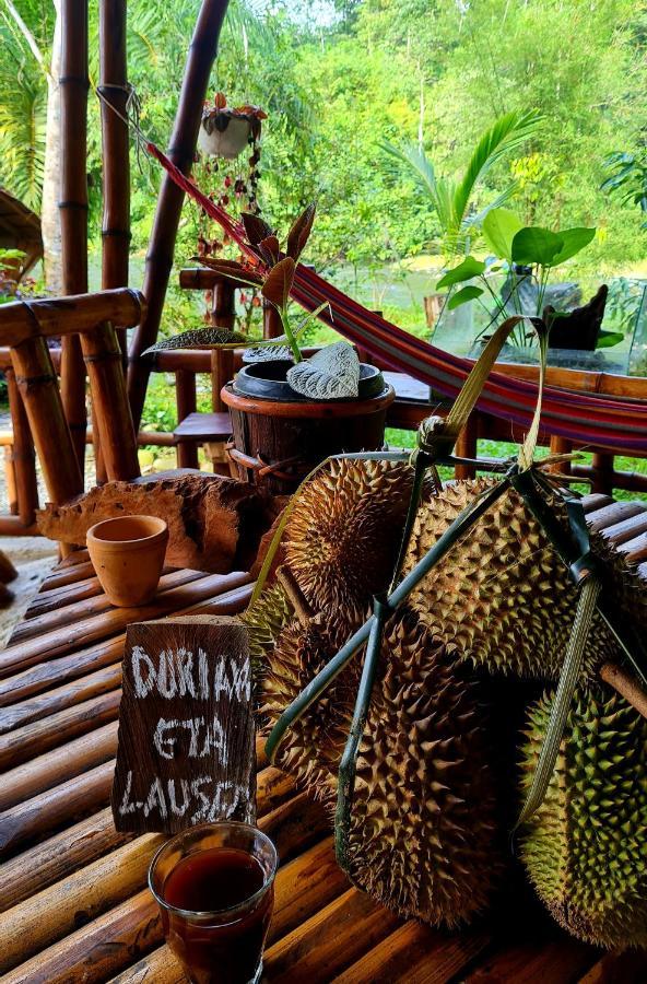 Etalauser Jungle Gate Ecoresort Bukit Lawang Exterior foto