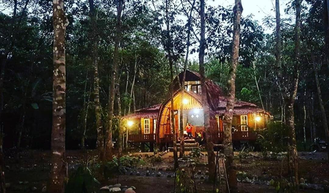 Etalauser Jungle Gate Ecoresort Bukit Lawang Exterior foto