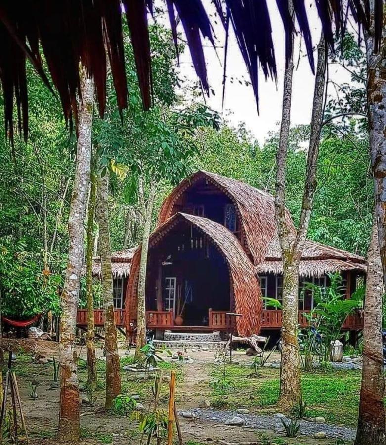 Etalauser Jungle Gate Ecoresort Bukit Lawang Exterior foto